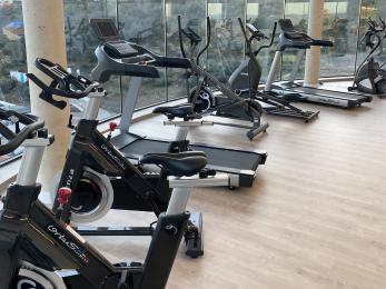 gimnasio